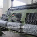 Anping Hexagonal Wire Mesh usine